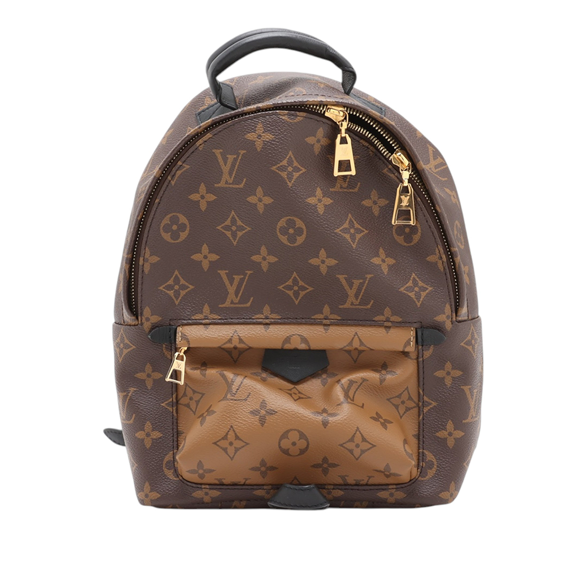 PreLoved Louis Vuitton Monogram Reverse Palm Springs Pm